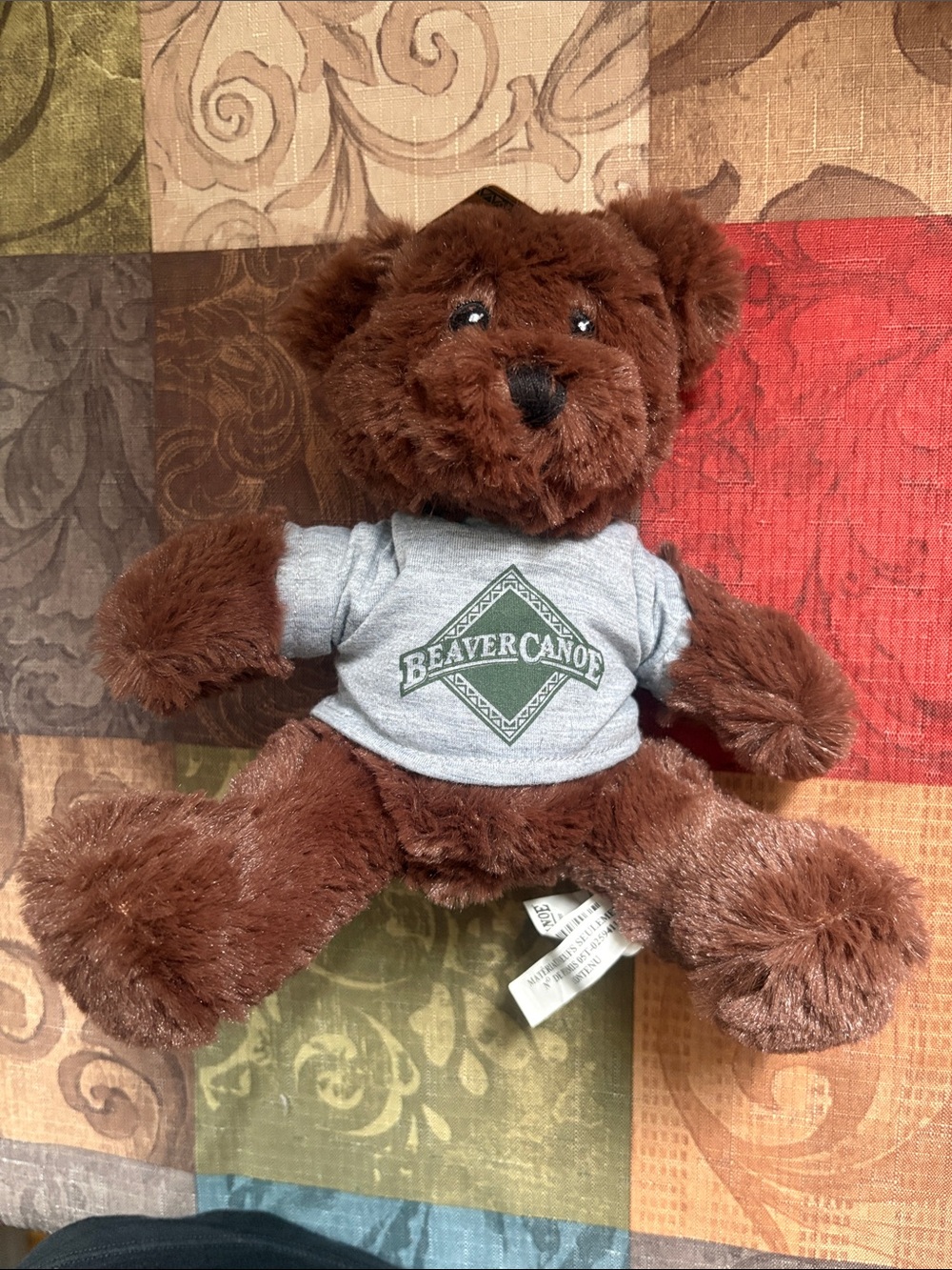 🛍️5/$20🛍️ROOTS Brown Bear